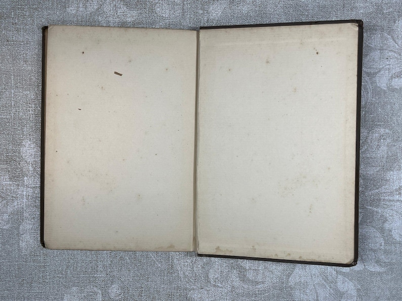 End papers of Bachelor Buttons