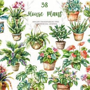 Planta en maceta de la casa de la acuarela, imágenes prediseñadas de la acuarela del amante de las plantas, licencia comercial POD botánica del cactus Monstera PNG