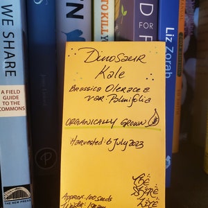 Dinosaur Kale seeds