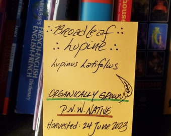 Broadleaf Lupine seeds - PNW Native