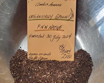 Farewell to Spring / Godetia seeds - PNW Native
