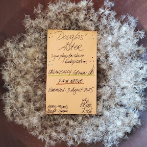 May include: A close-up of a wooden bowl filled with Douglas' Aster seeds. A small, rectangular card with handwritten text is in the center, stating the plant's name, scientific name, and that it is organically grown and harvested in August 2025. The seeds are fluffy and white.
