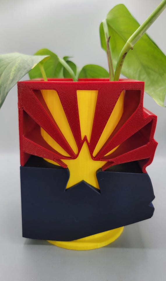 Arizona  Planter – State #48 Cactus Pot, Desert Decor, Southwest Gift, Succulent Planter, house plant, Unique Home Decor