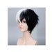 ranboo cosplay wig, Anime Wig, black and half White Wig, Bungo Stray Dogs Cosplay Wig ,Short Hair,Costume Wig,Cosplay Wig, Wigs Commissions. 
