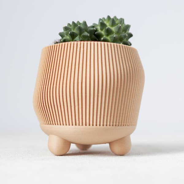 GRADVIS | Jardinière d’intérieur / extérieur / Cache-pot / pot en bois recyclé, cactus.