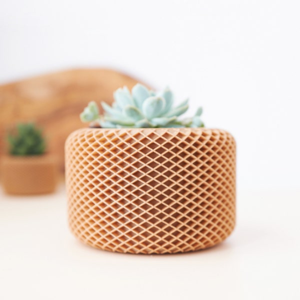 POLLY | Cache-pot moderne I cache-pot géométrique plantes cactus I  Planter origami I Planter au design minimaliste I Jardinière et durable