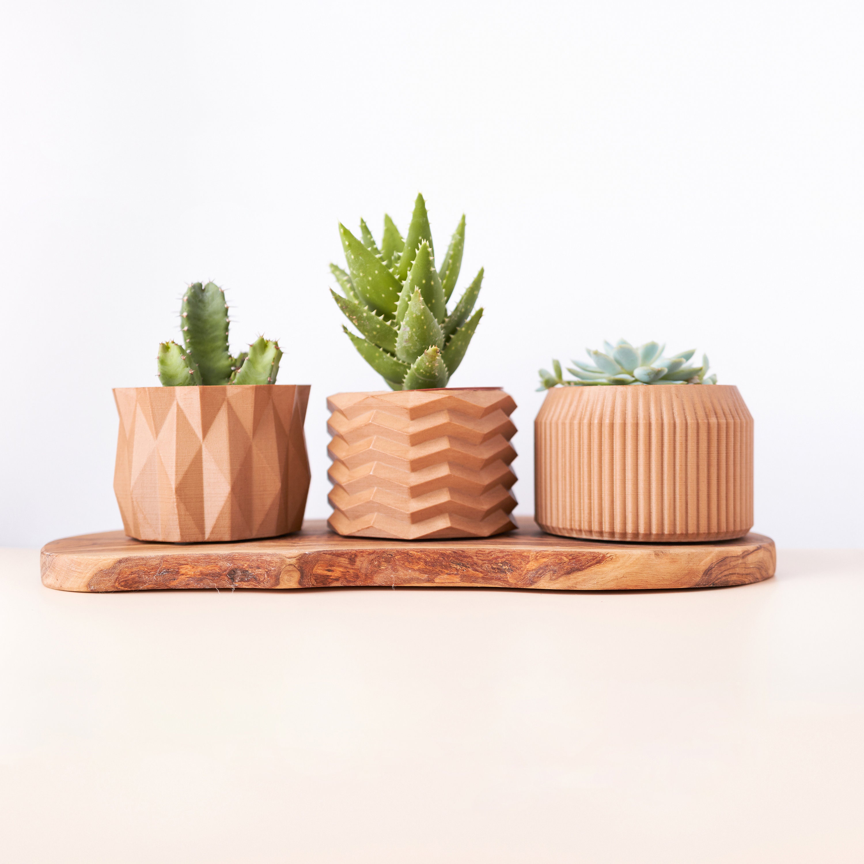 Lot de 3 Cache Pot, Pots à Succulentes/Cactus Intérieur en Bois Recyclé, Eco-Friendly, Cadeau Origin