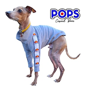May include: A grey dog wearing a grey sweatshirt with the word "ellesse" printed on the sleeves. The dog is wearing a yellow collar and the logo "POPS Casual Wear" is in the upper right corner.