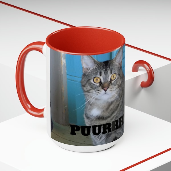 Perfect Adorable Cat Feline Mug, Positive Affirmation, Mothers day cat lover gift, office coffee mug, pet rescue shelter animals 2 Tone 15oz