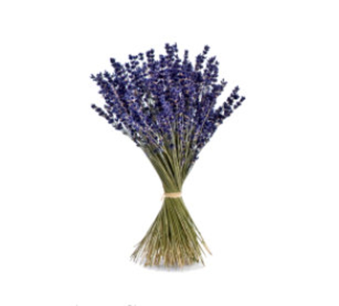 Bouquet of fresh lavender flowers Etsy