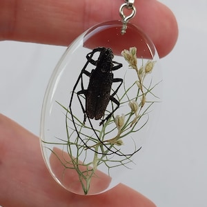 May include: Oval pendant with a black insect and dried flowers encased in clear resin. The pendant hangs from a black cord with a silver-colored bail. The insect is centered, with delicate floral elements surrounding it.