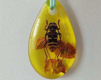 Real Scarab Beetle Epoxy Amber Resin Cabochon Amulet child