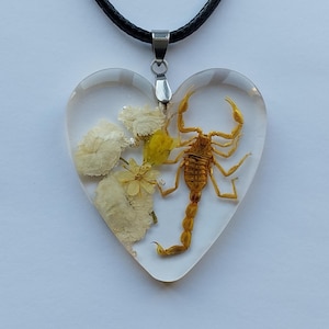 Scorpion necklace, Heart with Scorpion Pendant Necklace, REAL Scorpion Handmade Resin Necklace, wiccan jewelry, Cottagecore jewelry