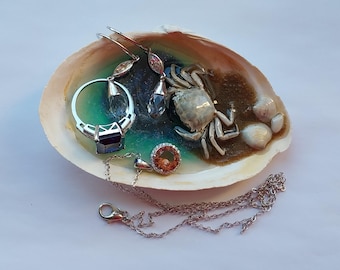 Vide-poche en coquillage avec crabe, VRAI crabe et coquillages Décoration de bureau faite main, décoration d'intérieur nautique, décoration d'océan, décoration d'étagère de bureau