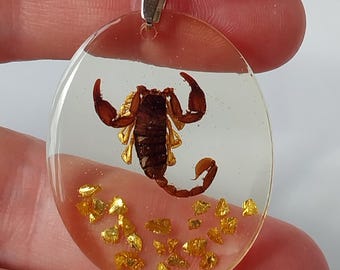 REAL Scorpion necklace, Scorpion Pendant Necklace, REAL Scorpion Handmade Resin Necklace, Cottagecore jewelry