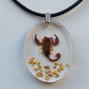 Scorpion necklace, Scorpion Pendant Necklace, REAL Scorpion Handmade Resin Necklace, wiccan jewelry, Cottagecore jewelry