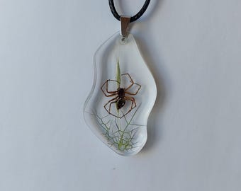 Spinhangerketting, echte spin handgemaakte hangerketting, natuursieraden, terrariumketting, eco-hanger