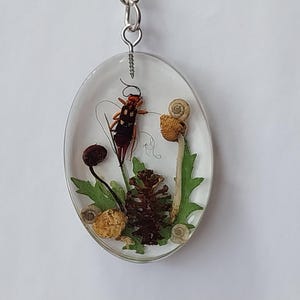 Puede incluir: Colgante ovalado con resina transparente que encierra un insecto rojo y negro, una pequeña piña, hojas verdes y pequeños caracoles. El colgante está suspendido de una cadena plateada.