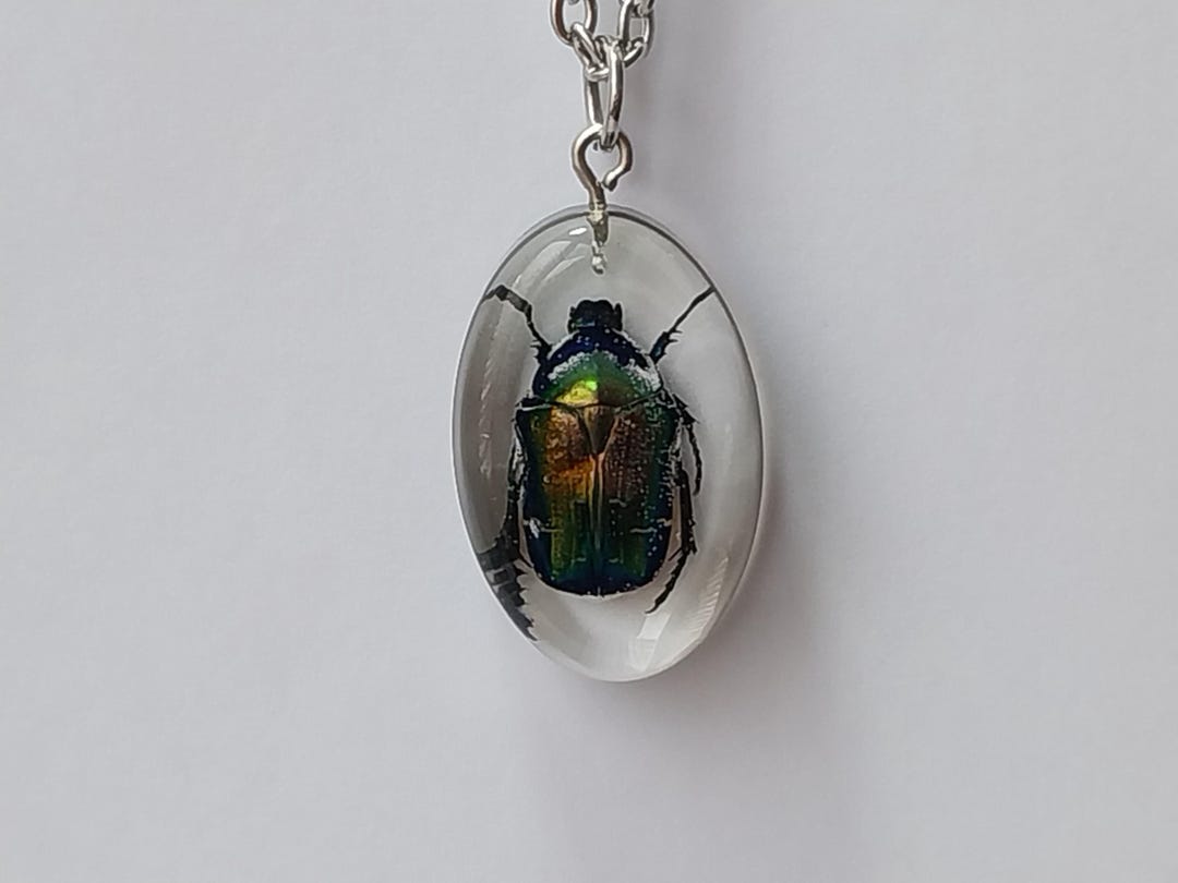 Rose Chafer Real Beetle Keychain, REAL Green Beetle Handmade Keychain ...