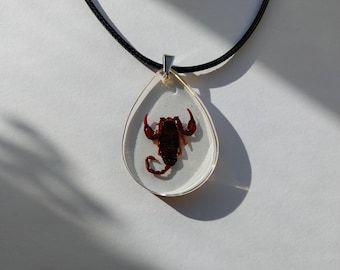 May include: A black cord necklace with a clear teardrop pendant containing a preserved scorpion.