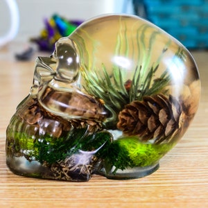 Pine Cones Woodland Floor Resin Skull Ornament With Pine Cone and Woodland Floor Findings. Valentines Day Gift.