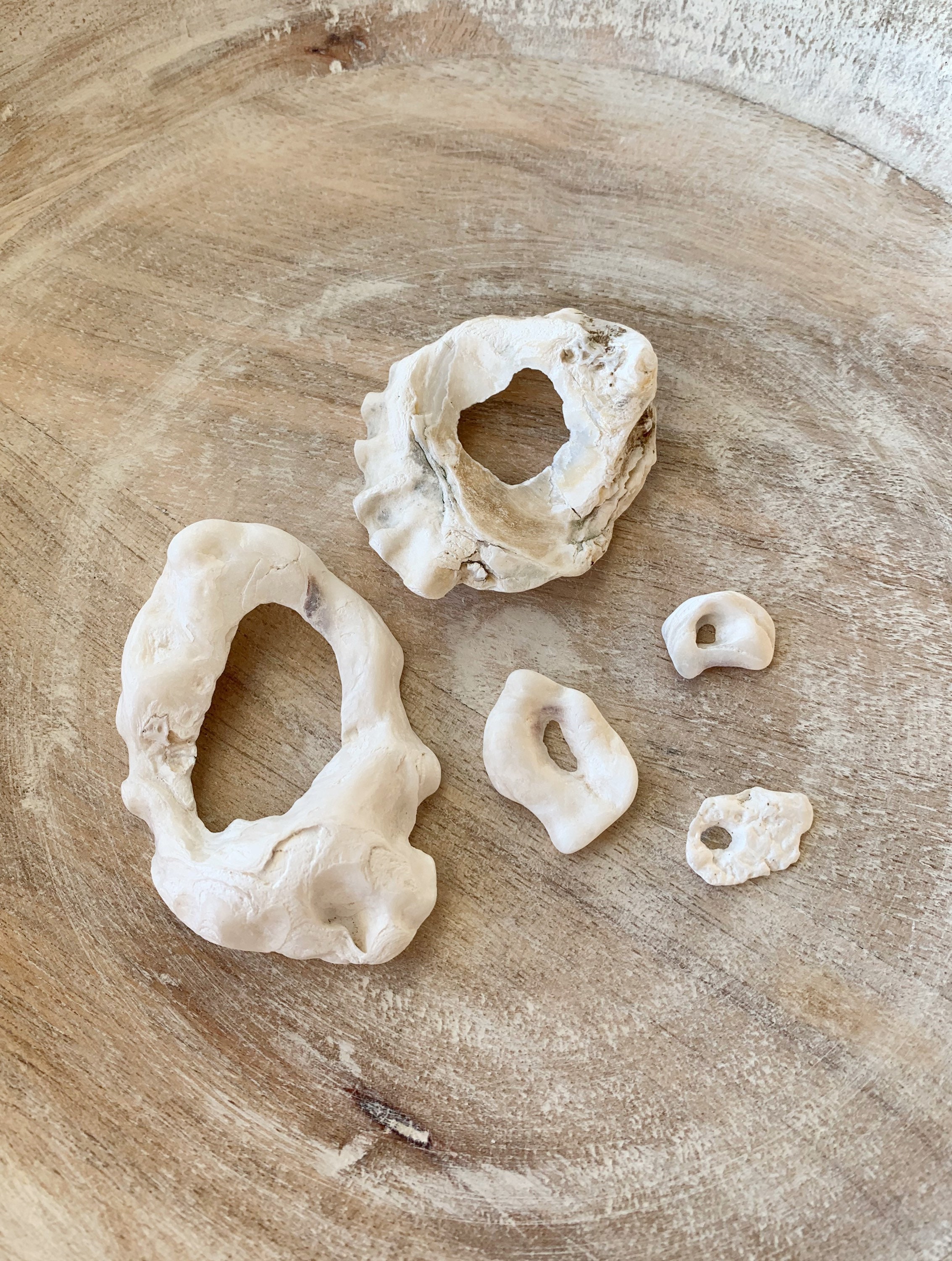 5 Sea Shells with Natural Holes in them Hag Shells found Etsy