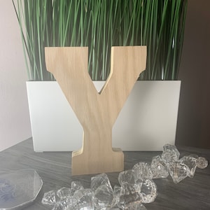 Wooden Block Letter &quot;Y&quot;
