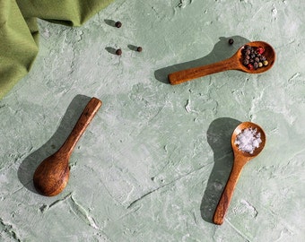 HIMAYA Mini Natural Acacia Wood Spoon | Spice Spoon | Sustainable Wood | Pantry Spoon | Salt Spoon