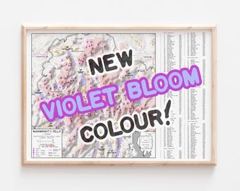 Puede incluir: Una impresión enmarcada de un mapa con el texto "NEW VIOLET BLOOM COLOUR!" en una fuente lúdica. El mapa presenta un diseño topográfico detallado con acentos morados y rosas, sobre un fondo neutro. El marco es de color madera clara.