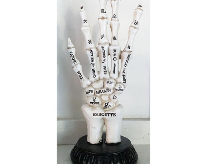 Rascette Palmistry Skeleton Hand Statue Black - Etsy