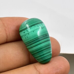 Può includere: Una gemma di malachite lucidata a forma di goccia. La pietra presenta un colore verde vibrante con motivi a bande verde scuro e piccole inclusioni circolari. La gemma è tenuta in una mano, mostrando la sua superficie liscia e lucida.