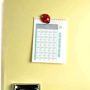 K&ouml;nnte beinhalten: Ein gelber K&uuml;hlschrank mit einem silbernen Griff. Ein 30-Tage-Beach-Body-Challenge-Kalender ist mit einem roten Marienk&auml;fer-Magneten am K&uuml;hlschrank befestigt.