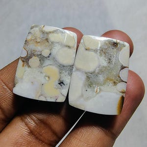 Ocean Jasper Cabochon Pair: Loose Gemstones for Jewelry (62.95 Carat)