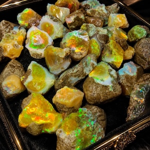 Könnte beinhalten: Eine Sammlung roher Opal-Edelsteine, präsentiert in einem mit schwarzem Samt ausgekleideten Tablett mit goldfarbenem Rahmen. Die Opale zeigen eine Vielzahl von Farben, darunter Gelb, Orange, Grün und Blau, mit schillernden Blitzen. Die Steine haben eine raue, natürliche Textur.