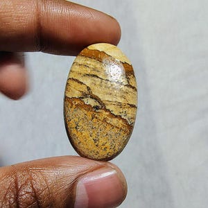 Natural Picture Jasper Cabochon: Loose Gemstone (25.55 Carat, 31X19X5MM)