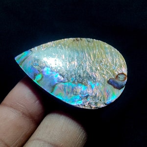 Peso in carati: 48,50 Conchiglia di abalone Cabochon Conchiglia di abalone naturale Pietra preziosa sciolta da utilizzare per la creazione di gioielli. Dimensioni-(37X26X7) mm
