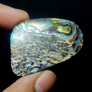 Peso in carati: 58,35 Cabochon di conchiglia di abalone Conchiglia di abalone naturale Pietra preziosa sciolta da utilizzare per la creazione di gioielli. Dimensioni-(38X26X7) mm