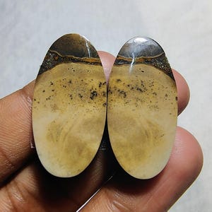 Ocean Jasper Cabochon Pair: Jewelry Making Gemstones (31X15X4MM)