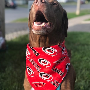 Carolina Hurricanes Bandana / Hurricanes / Dog•Cat Bandana / Carolina Hurricanes / Snap Bandana / Hurricanes Pet Wear / Canes / NHL Pet Wear