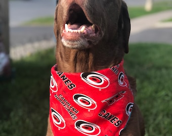 Carolina Hurricanes Bandana / Hurricanes / Dog•Cat Bandana / Carolina Hurricanes / Snap Bandana / Hurricanes Pet Wear / Canes / NHL Pet Wear