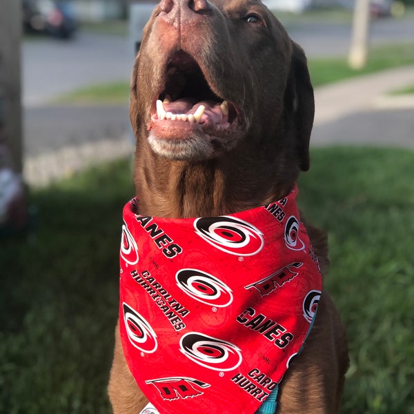 Carolina Hurricanes Etsy