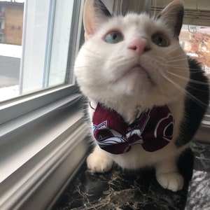 Colorado Avalanche Bow Tie Colorado Avalanche Avs Bow Tie Dog Bow Tie Cat Bow Tie Pet Neck Tie Avs Dog Tie Dog Gift Neck Tie image 4