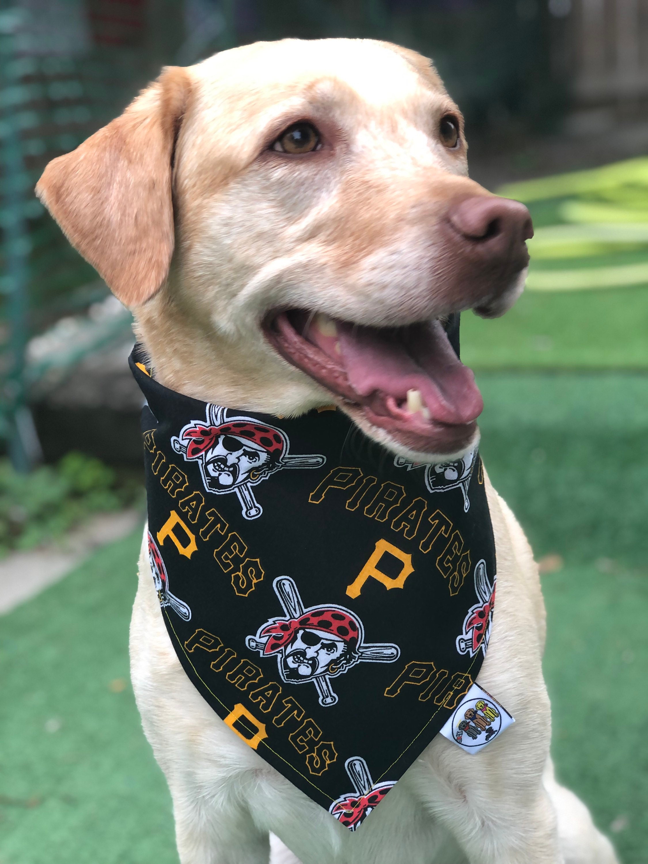 Pittsburgh Pirates Bandana / Dog Cat Bandana / Pet Bandana / 