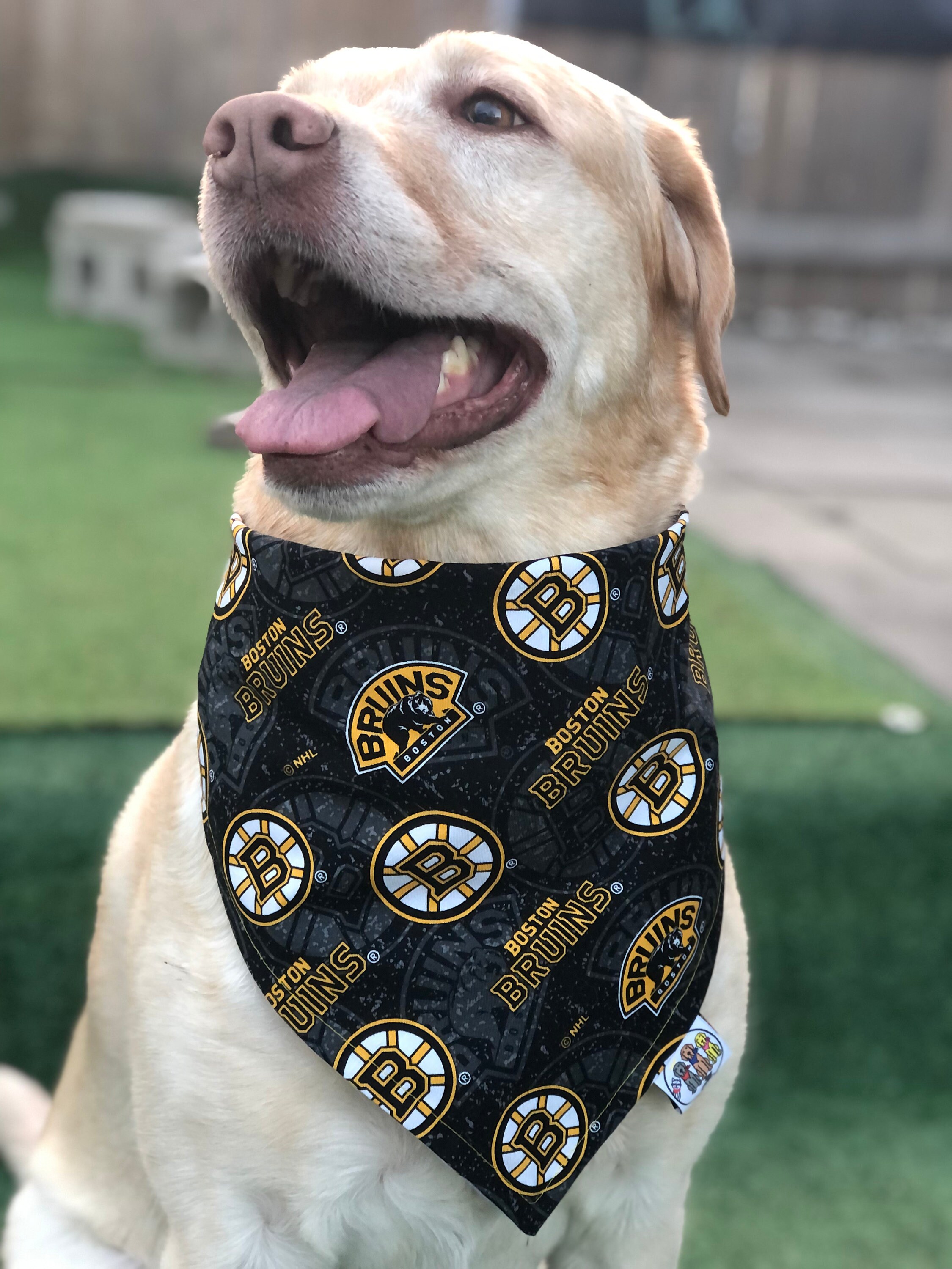 Boston Bruins NHL Dog Jersey