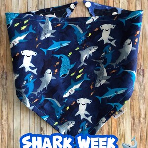 Sharks Dog Bandana / Shark Pet Bandana / Pet Bandana / Cute Dog Bandana / Snap-On Bandana / Shark Week / Dog Bandana / Sharks