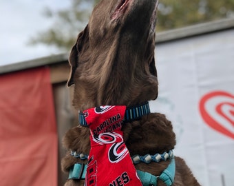 NHL Pet Neck Ties • Dog Collar Accessory • NHL Dog Neck Tie • Cat Neck Tie • NHL Pet Ties • Pet Fashion • Dog Tie • Over The Collar Tie