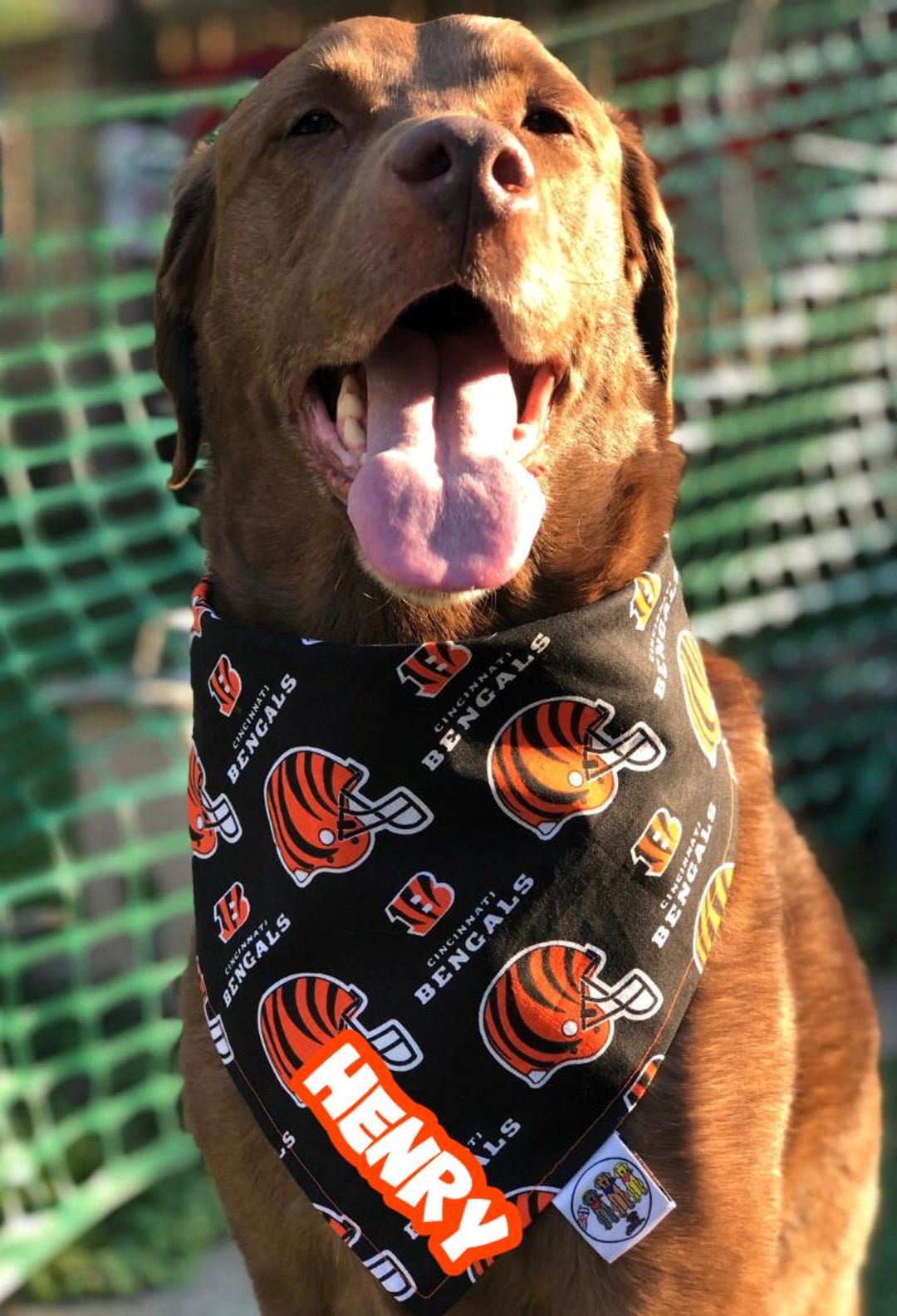 Cincinnati Bengals Bandana Cincinnati Bengals /dog•cat Bandana