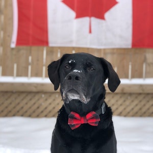 Buffalo Plaid Bow Tie Dog Bowtie Fall/Winter Bow Tie Cat Bow Ties Bow Tie Bowtie Bow Ties Buffalo Plaid Dog Neck Wear image 2