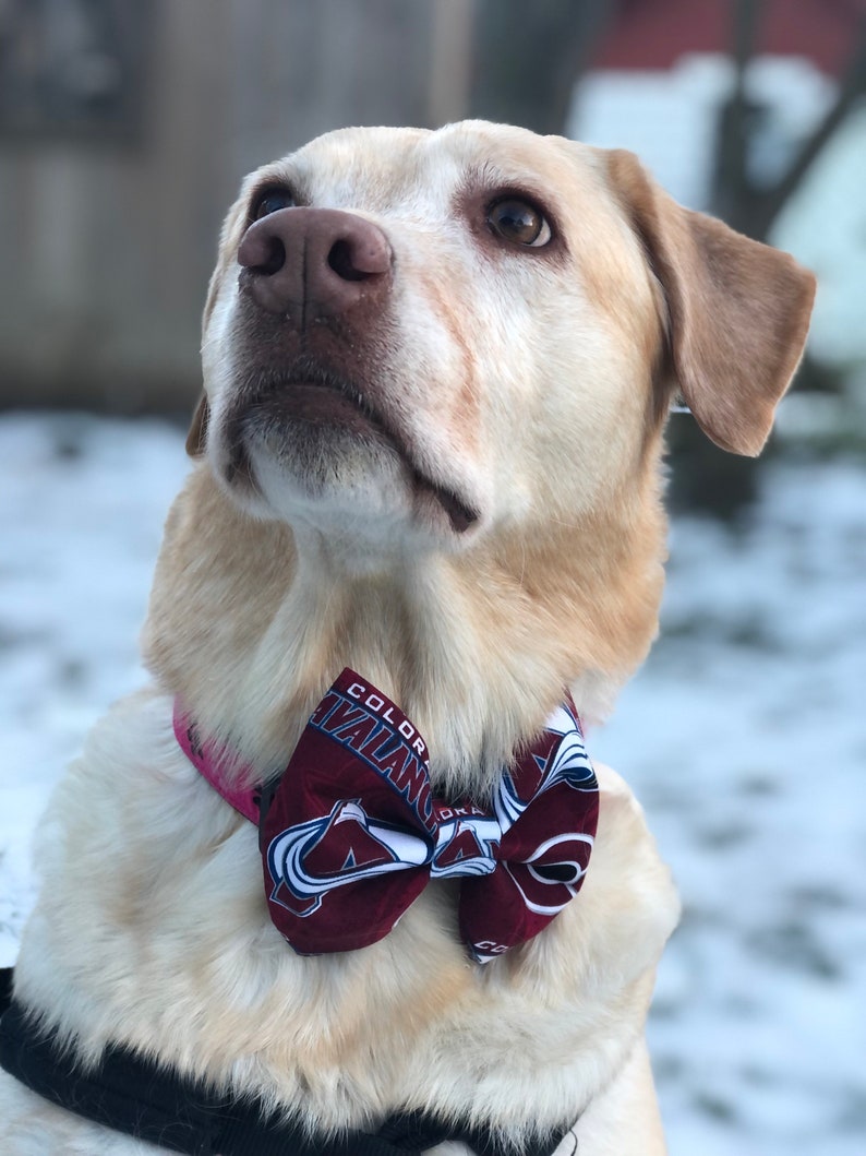 Colorado Avalanche Bow Tie Colorado Avalanche Avs Bow Tie Dog Bow Tie Cat Bow Tie Pet Neck Tie Avs Dog Tie Dog Gift Neck Tie image 5