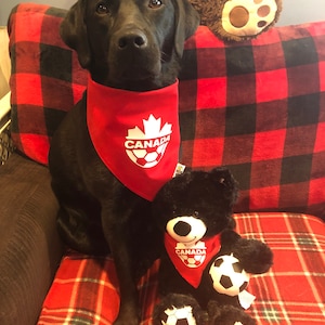 May include: A black Labrador Retriever wearing a red bandana with a white maple leaf and the word "CANADA" on it. The dog is sitting on a red and black checked sofa with a black teddy bear wearing a similar bandana. The teddy bear is holding a football.
